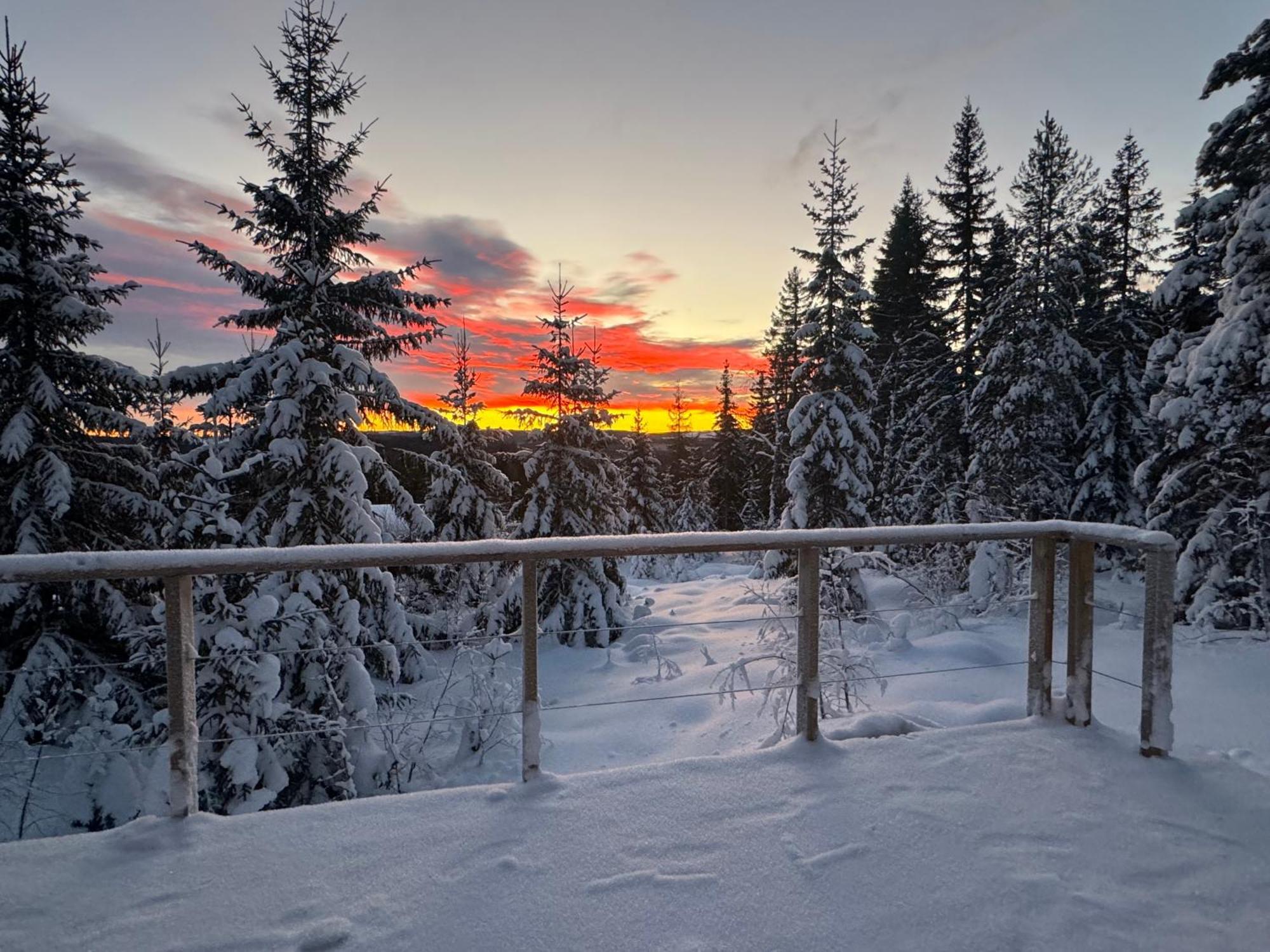 Forest Cabin With Stunning Mountain View & Sauna Torsby Eksteriør billede